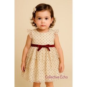 Blueberi Boulevard Toddler Dress 24M Tiered Tulle Champagne Gold NWT